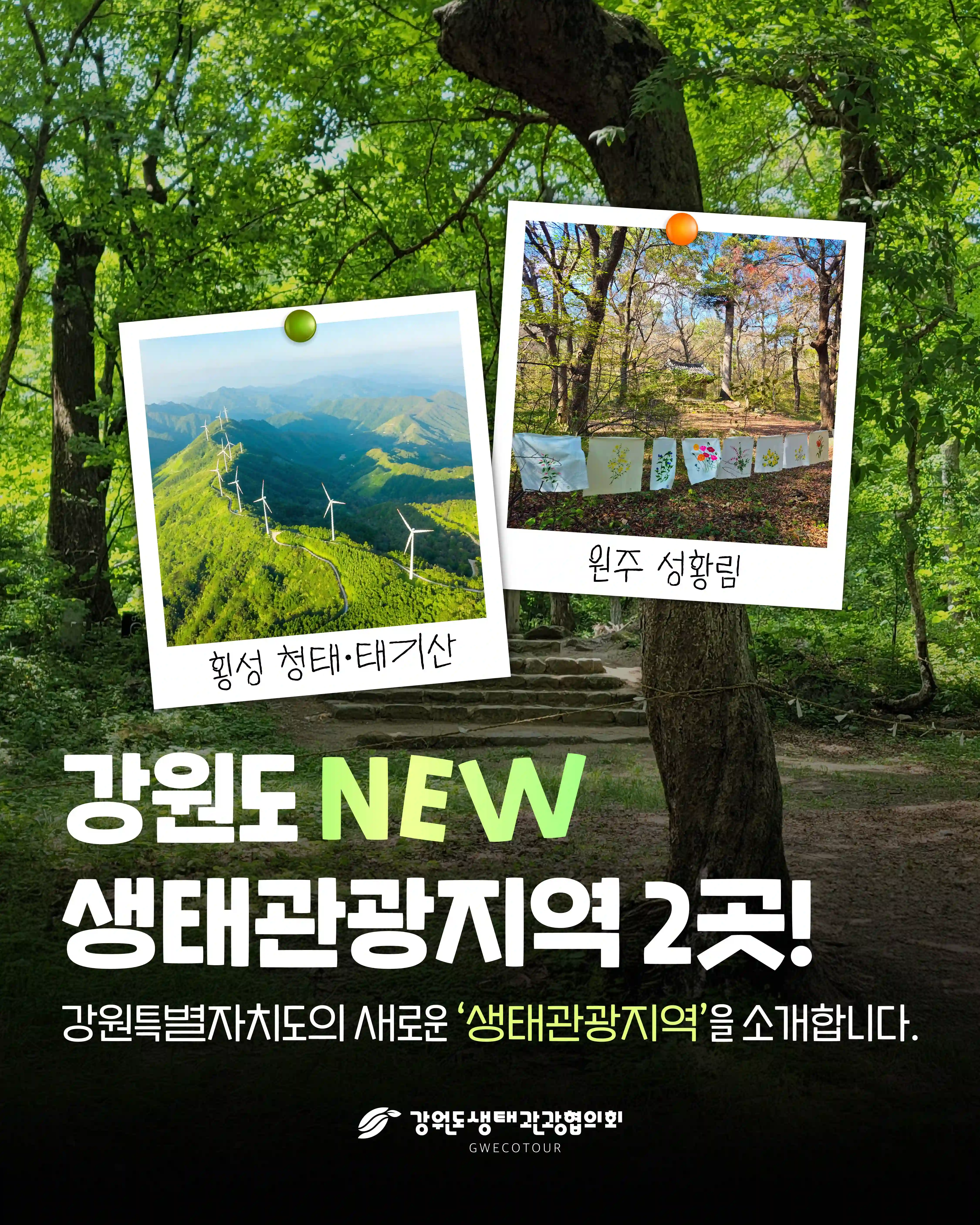 강원도생태관광협의회