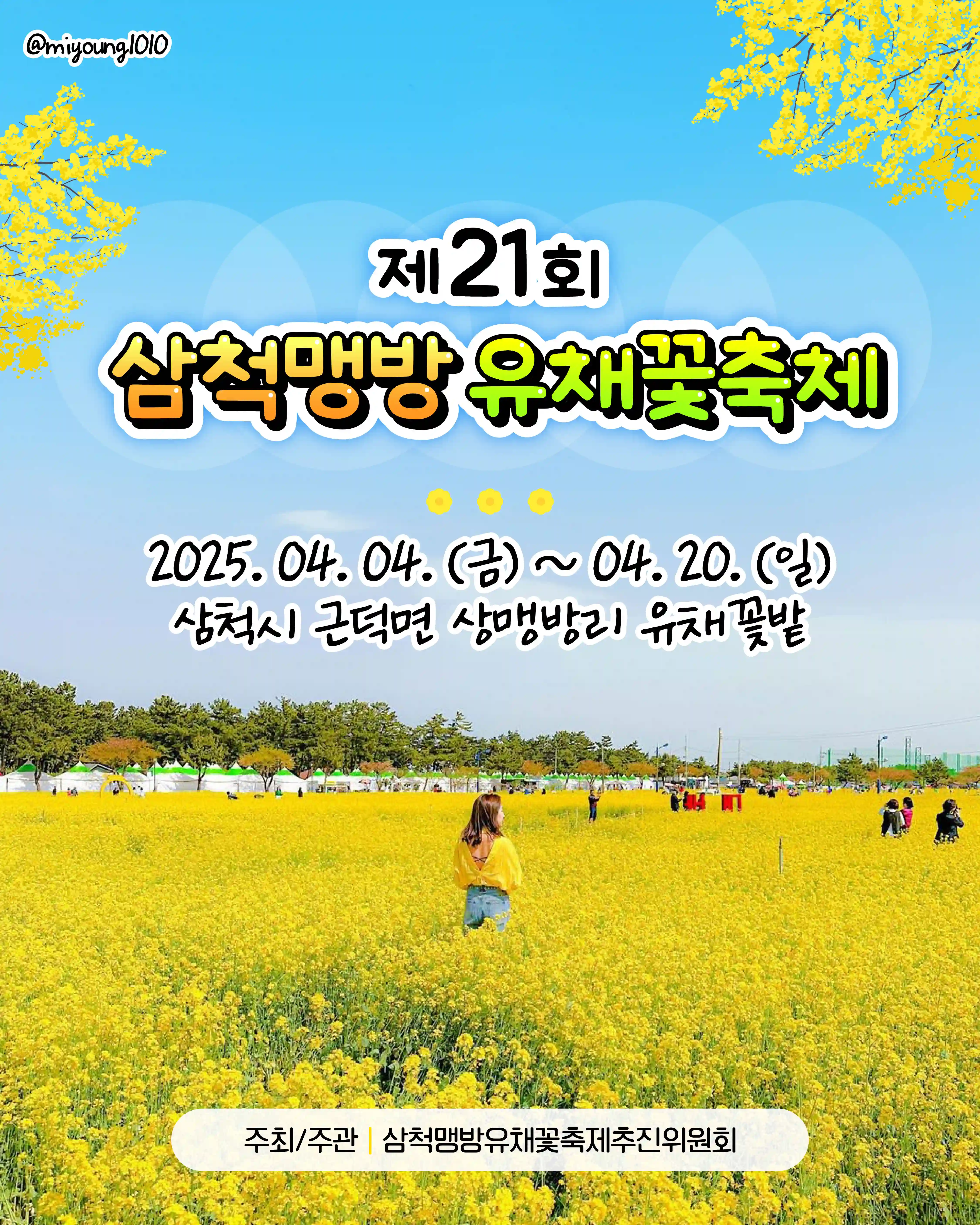 삼척맹방유채꽃축제